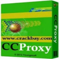 CCProxy Server Software Setup Download